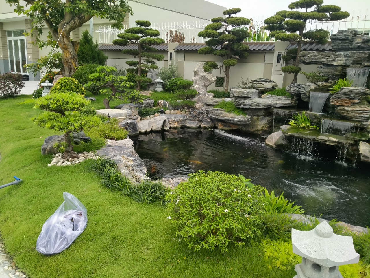 Sân vườn phong cách Nhật có đi kèm hồ cá koi 