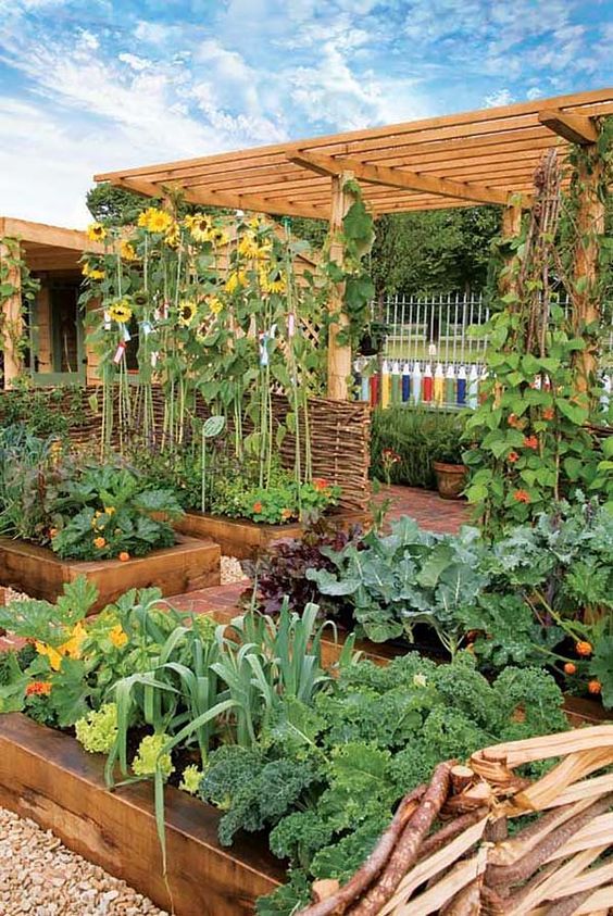 Cách trang trí sân vườn trên sân thương với những chậu gỗ trồng rau 